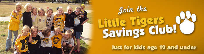 LittleTigersClub_banner